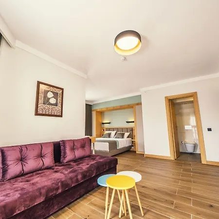 Premier Nergis & 4* 马尔马里斯